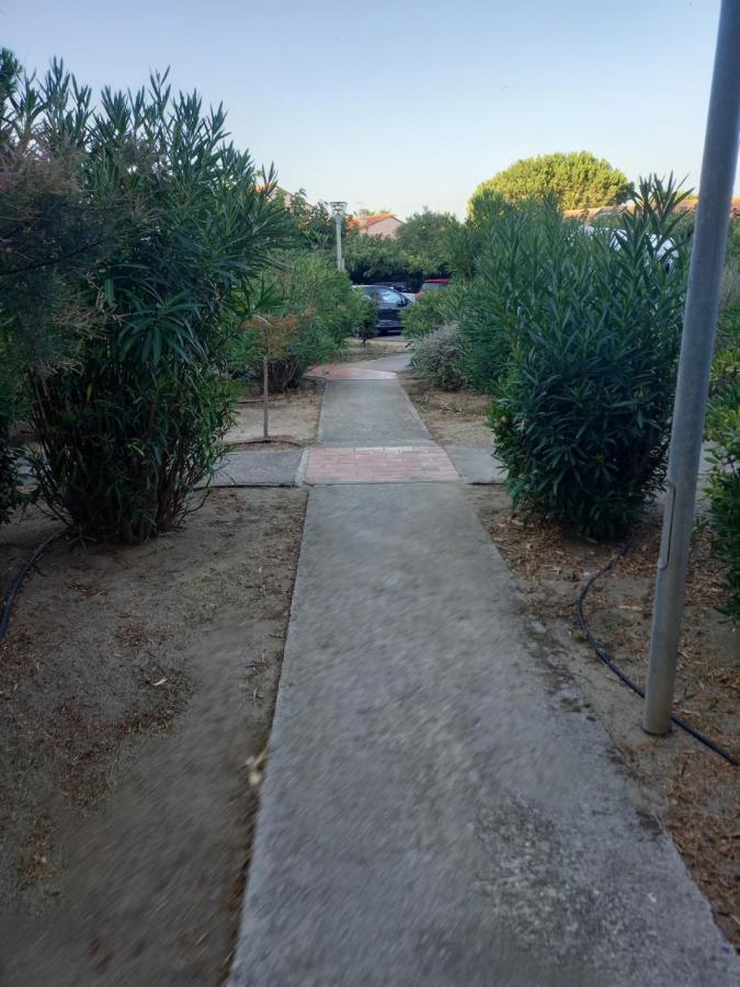 Appartement Saint Cyprien Plage Residence Les Mas De La Mer Exteriér fotografie
